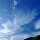 小白eJJ