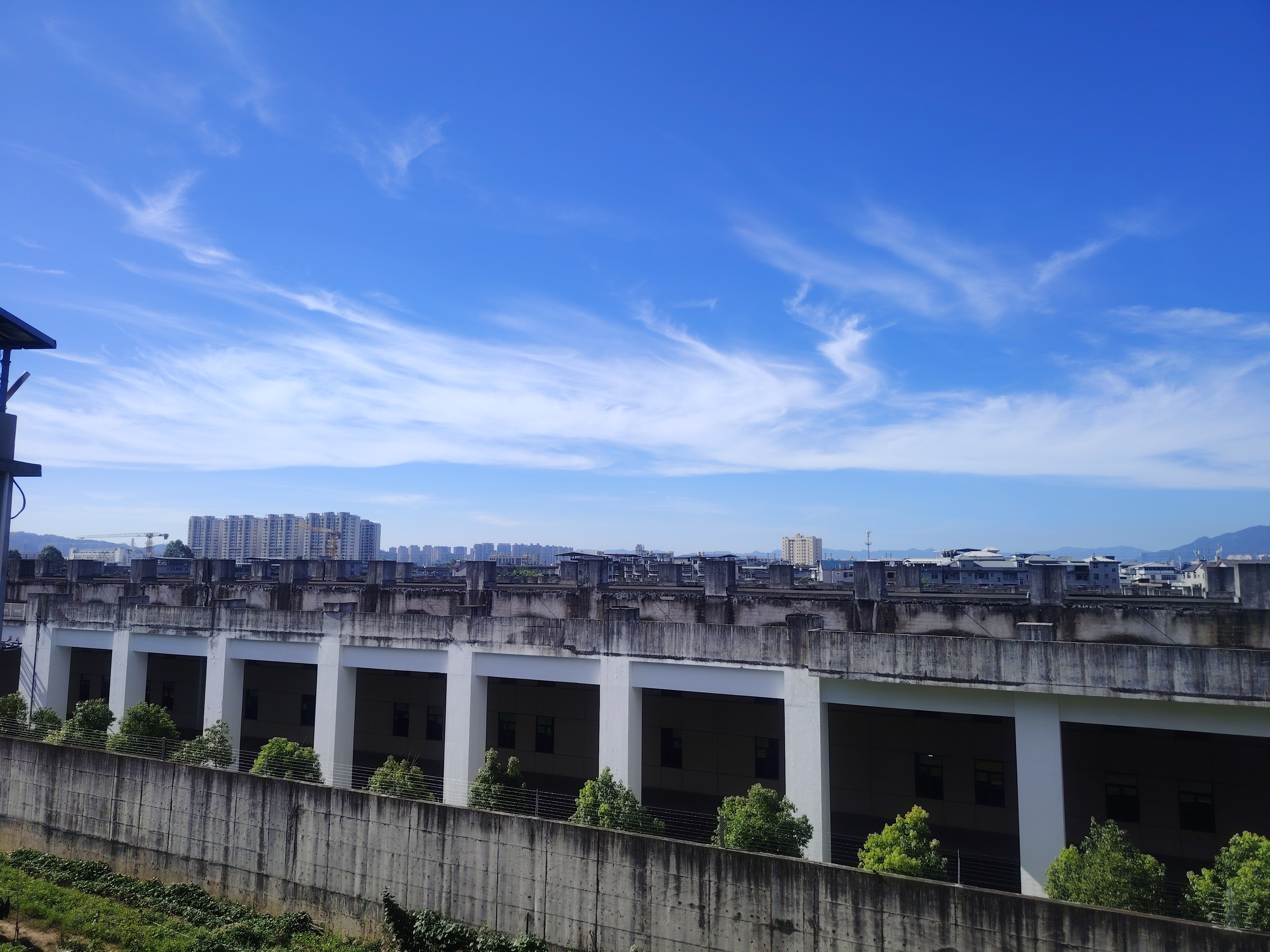 琴儿回老家照顾爷爷主播图片