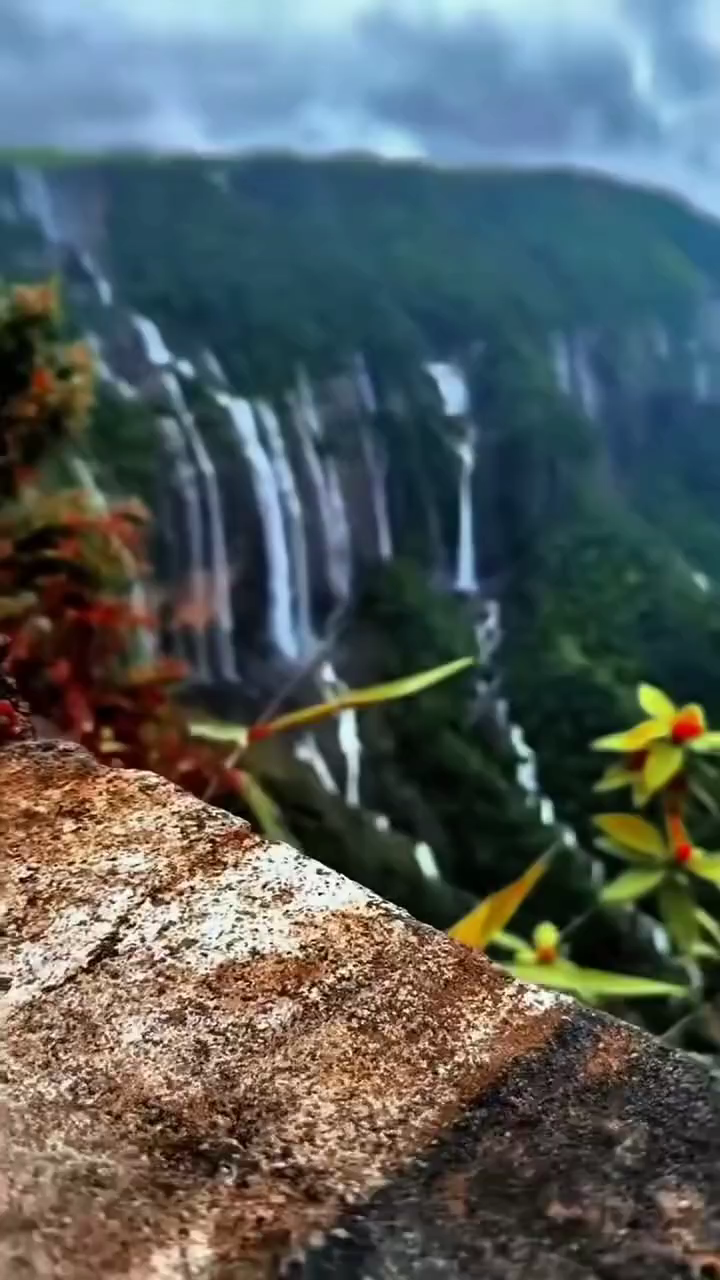 🐒🐒山水无言包容悲欢