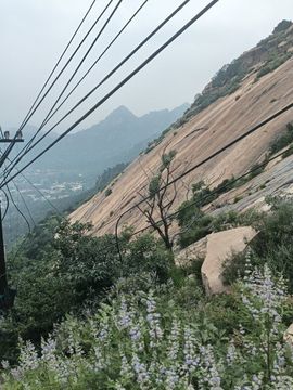 潺潺流水-班得瑞主播照片