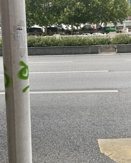 ღ柳柒柒今天也要加油主播照片