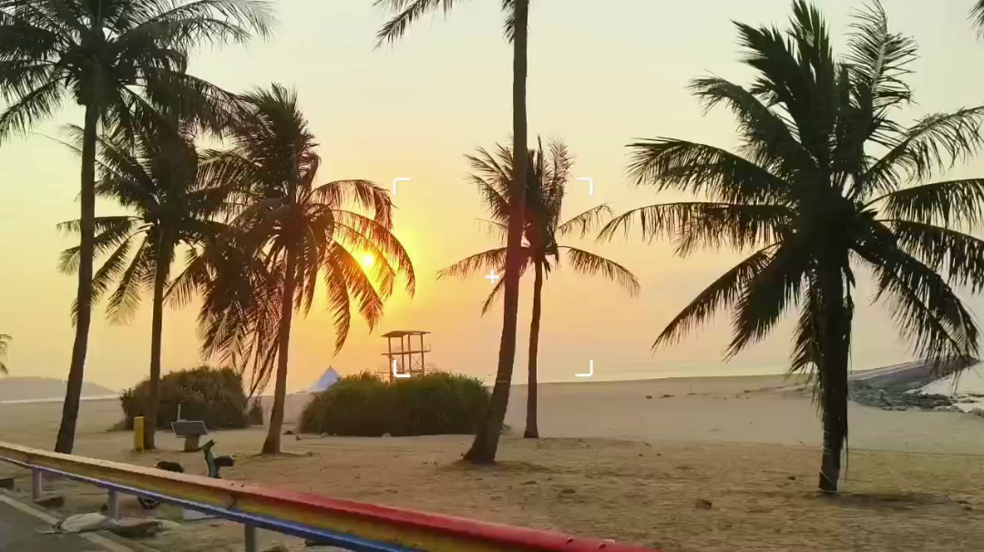 有种想去看海的冲动