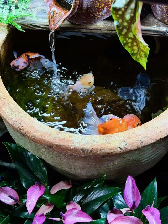 元宝儿ღ的主播照片