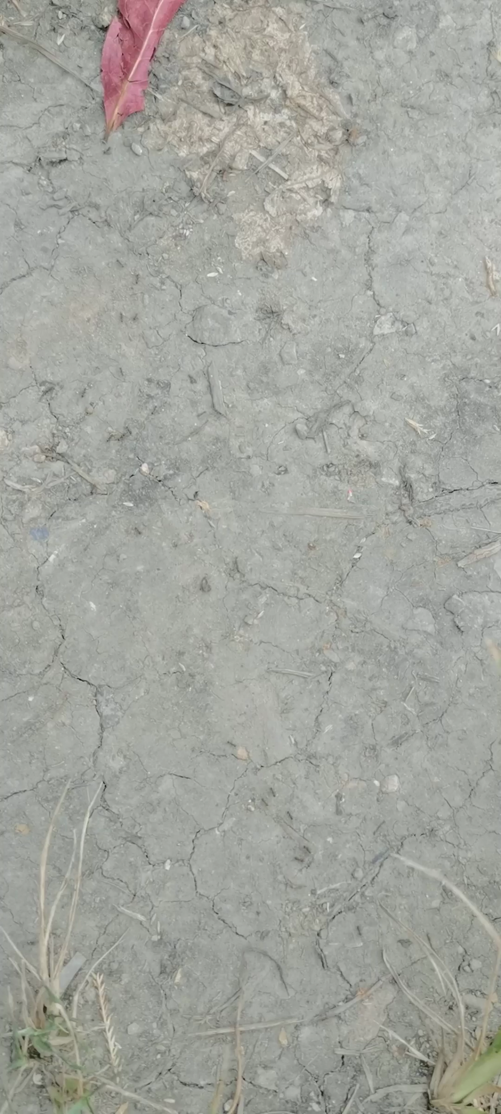 巴威要来了，沿海地区