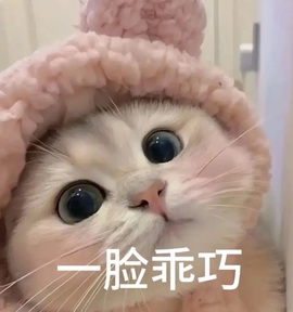 百万贺K宝宝创世神皇的图片