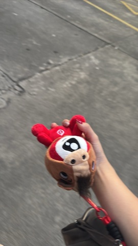 白Y鸭的图片