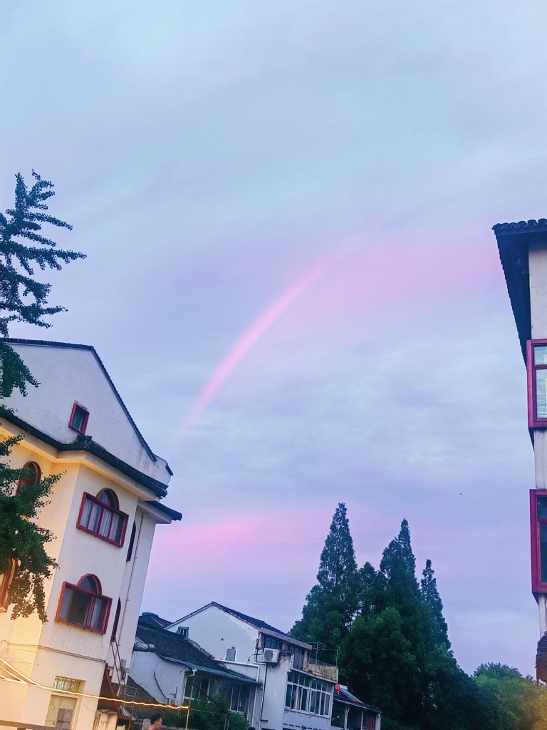 晴宝🌈好运连连的图片