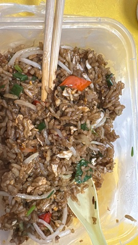白Y鸭的图片