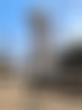 晴儿7月21号生日会主播图片