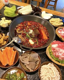 月遊魚的图片