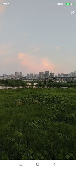 婷婷💕感恩有你陪伴的图片