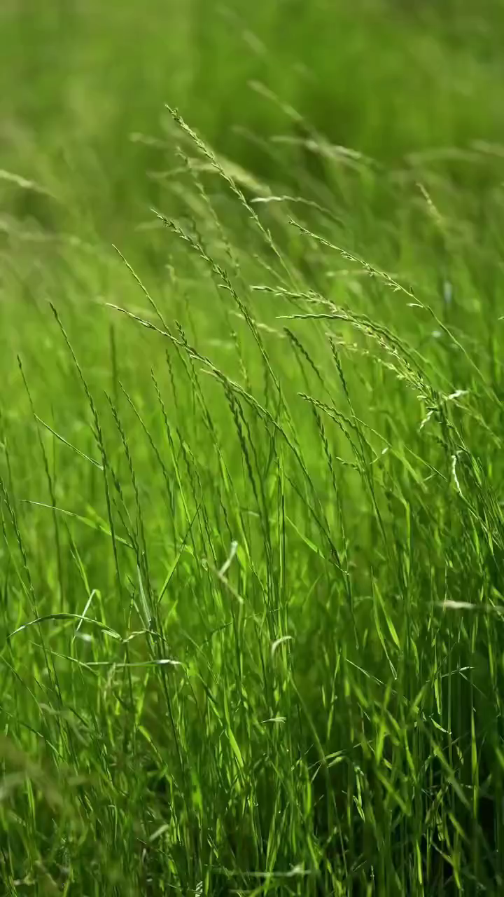 🐒🐒好好生活，别想太