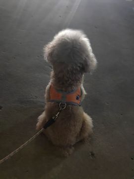 爱笑🌺休几天陪家人的图片