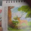 连俊FYy