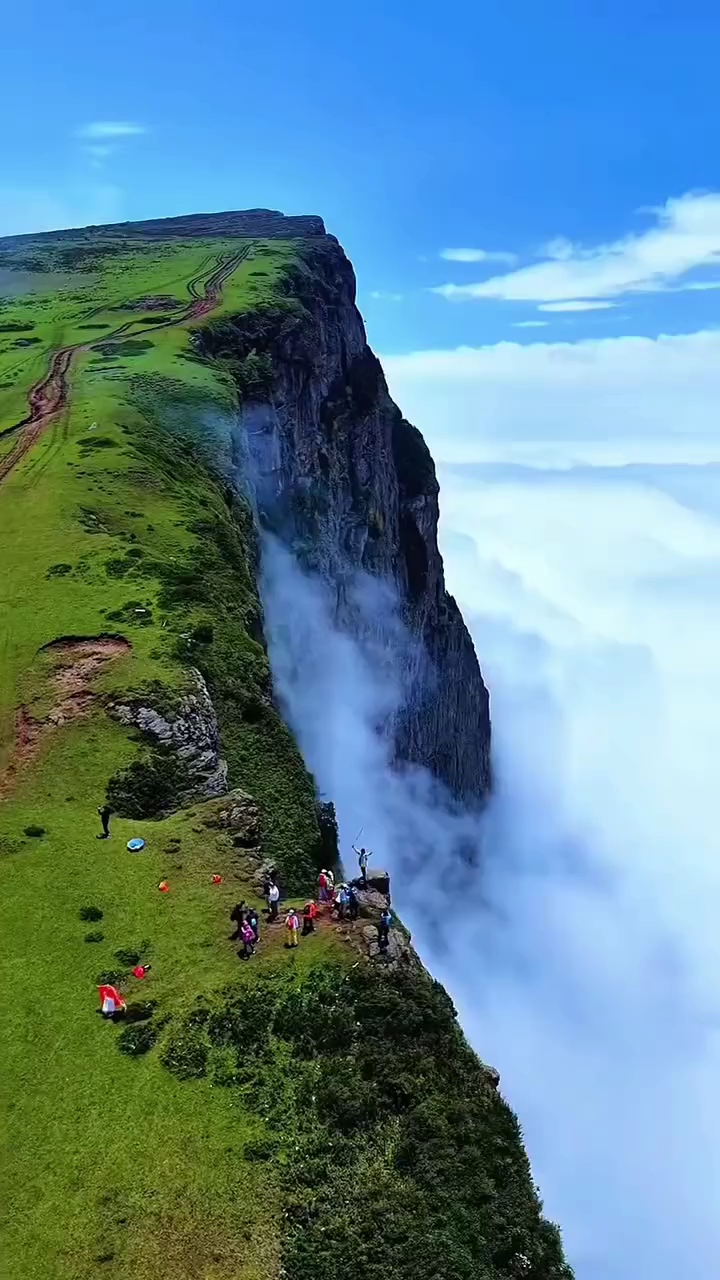 🐒🐒​没有谁的人生是
