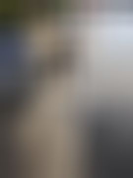 晴儿7月21号生日会主播图片