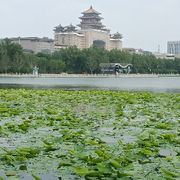 萌新宝宝TdpERu