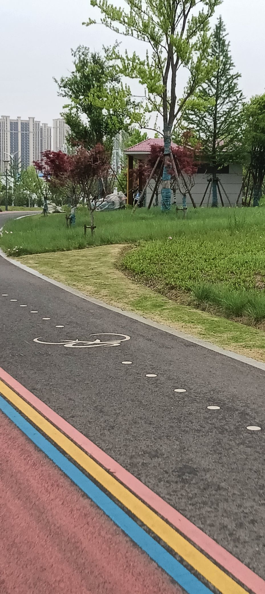 傲世_天下的主播照片