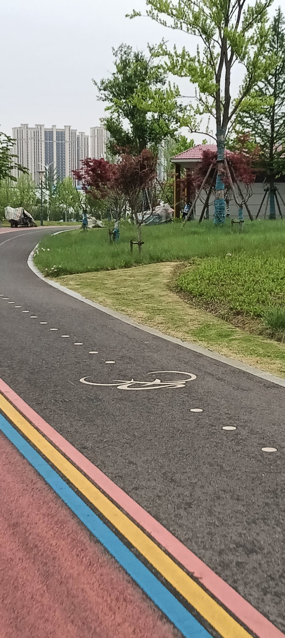 傲世_天下的主播照片
