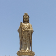 红颜祸水害老头的用户头像