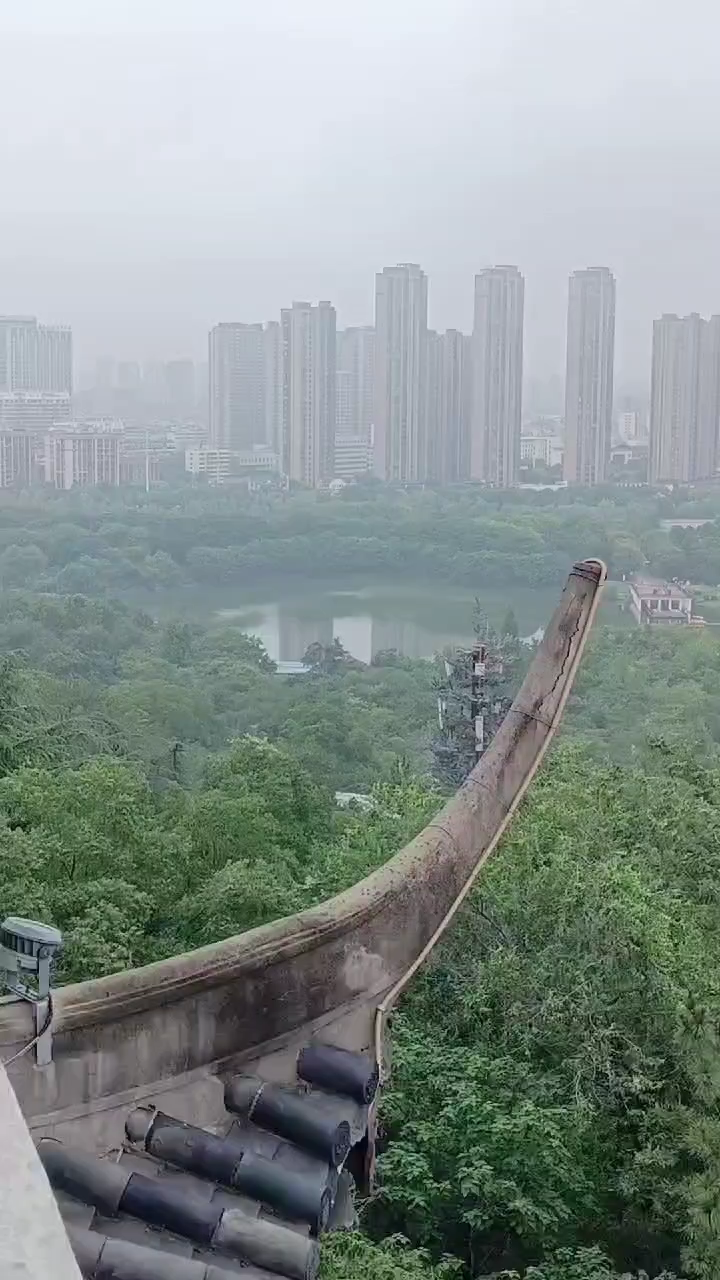观看390次