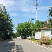 紫风（9）