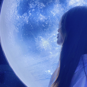 定格】