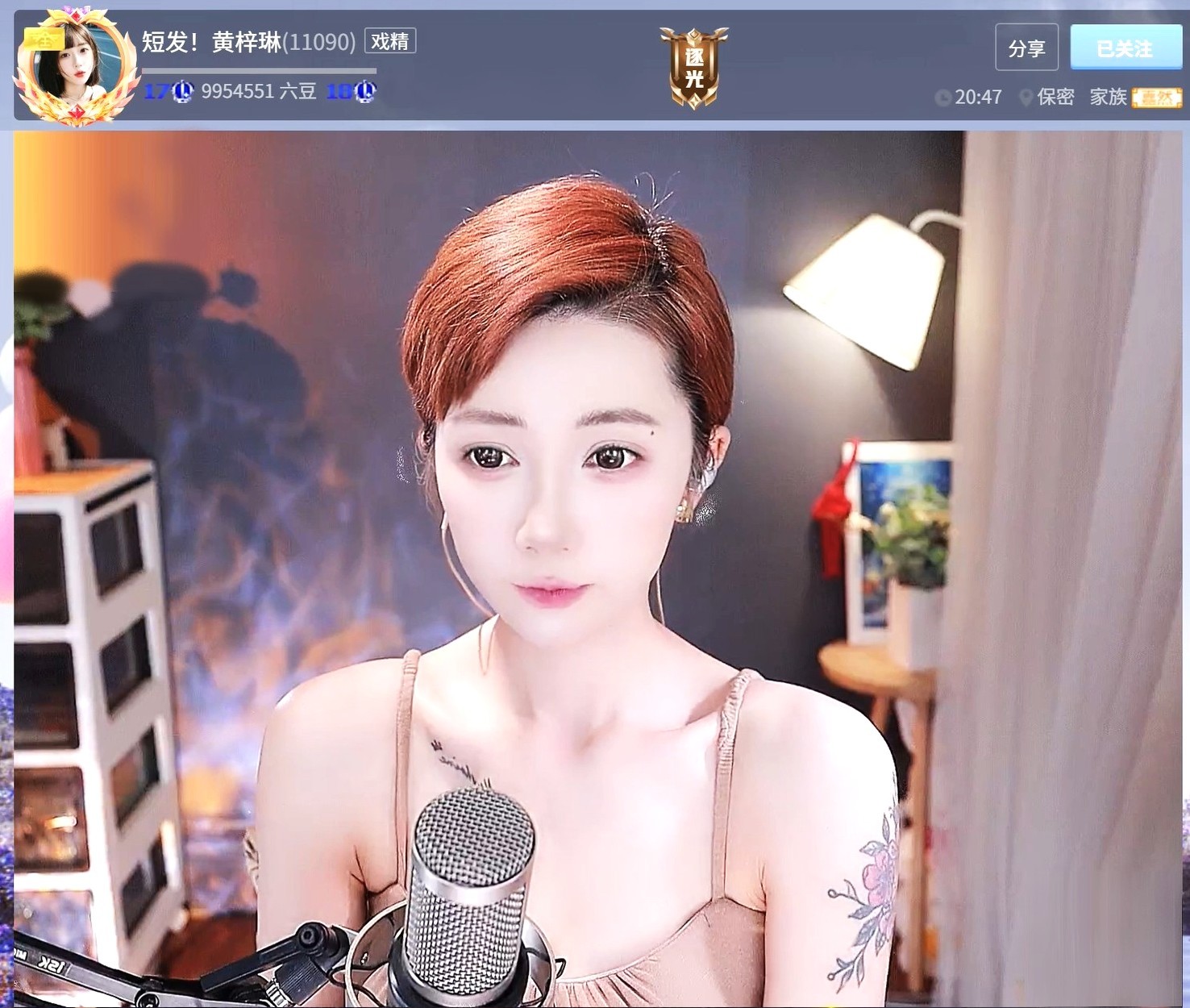 暮色捕手的图片