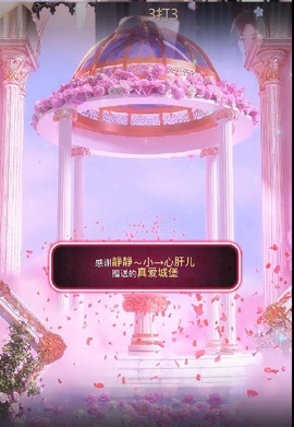 倾城静静努力过任务主播照片