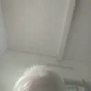 你43蒋的头像