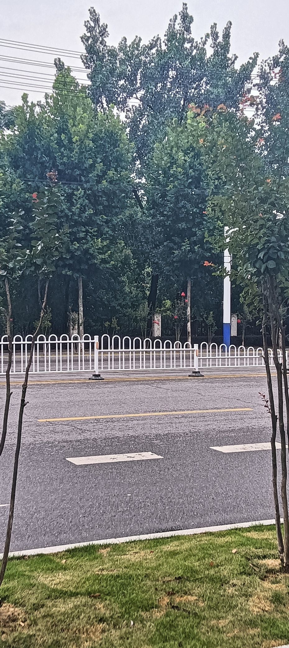 傲世_天下的主播照片