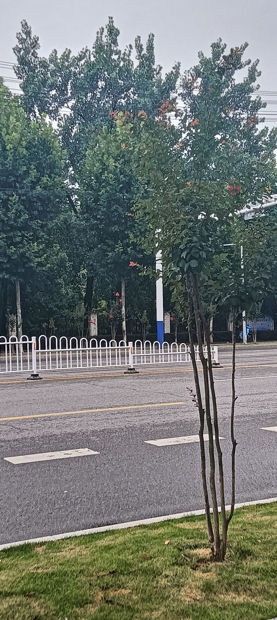 傲世_天下的主播照片