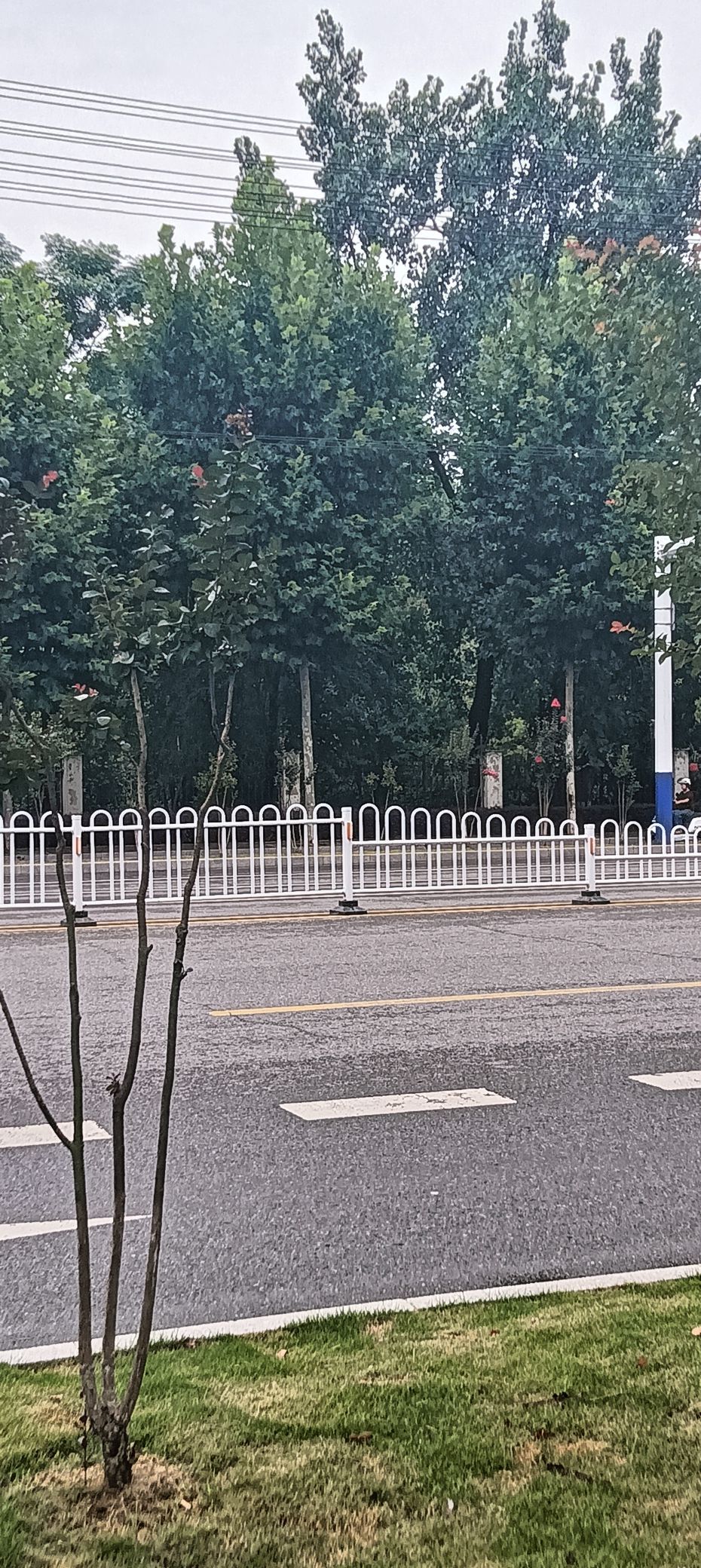 傲世_天下的主播照片