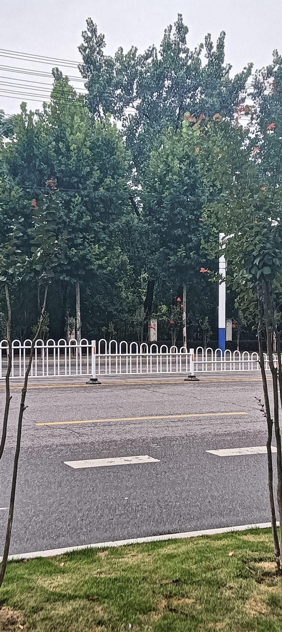 傲世_天下的主播照片