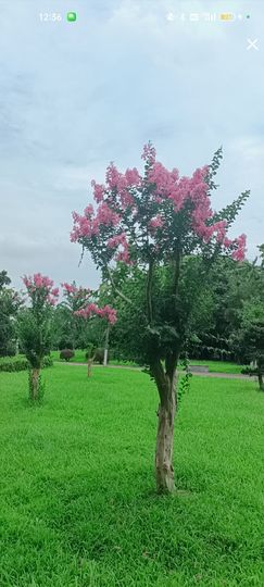 婷婷💕感恩有你陪伴的图片
