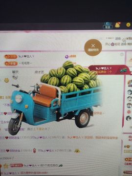 兰兰❤️招财进宝的图片