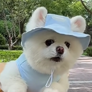 嗡嗡嗡没招了🐝的头像