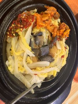 白Y鸭的图片