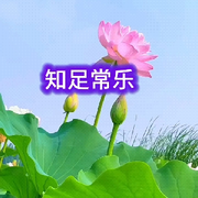 自足常乐~的头像
