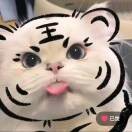 烟花易冷AGZ