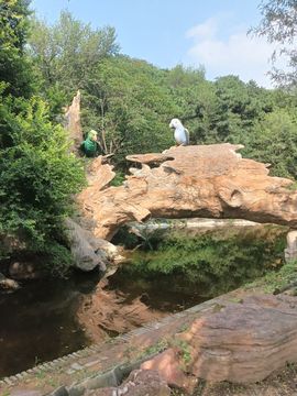 潺潺流水-班得瑞主播照片