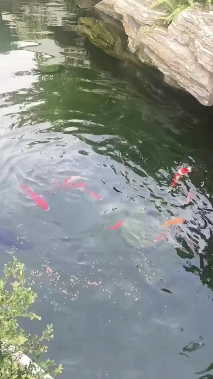 这就是我的生活，我亲