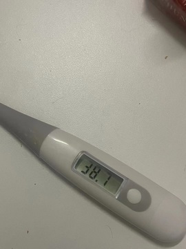 米诺鸭的图片