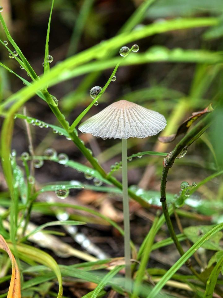 天王盖地虎虎044主播图片