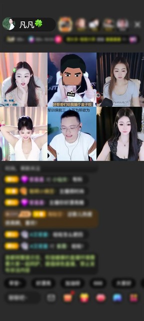 感谢神秘人～拜拜🍭赠送星辉花冠1个