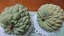 一只楚楚熊☆的图片