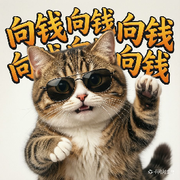 六少韦龙甫