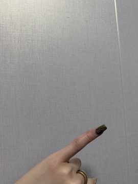 晚-唱歌🎤主播照片