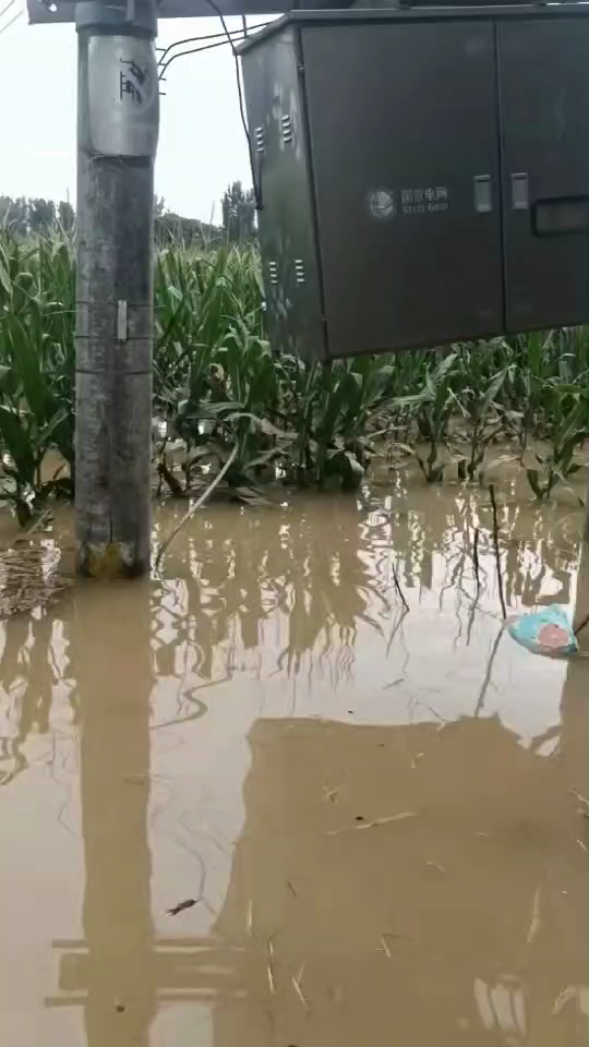 老家的河水都进村了