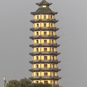 溜溜蛋，🌾❤️的头像